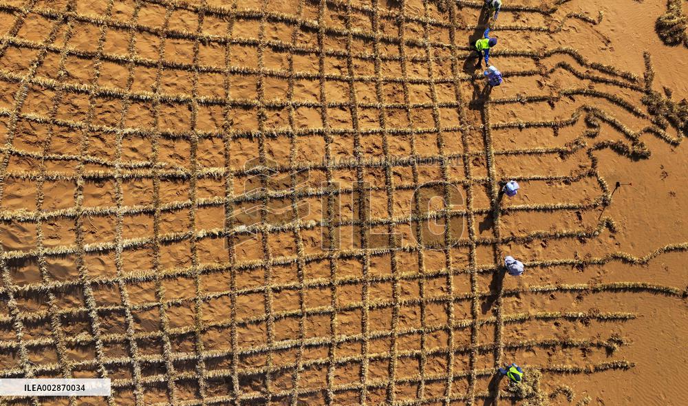 (VistaNingxia)CHINA-NINGXIA-ZHONGWEI-ENVIRONMENT-SAND CONTROL (CN)