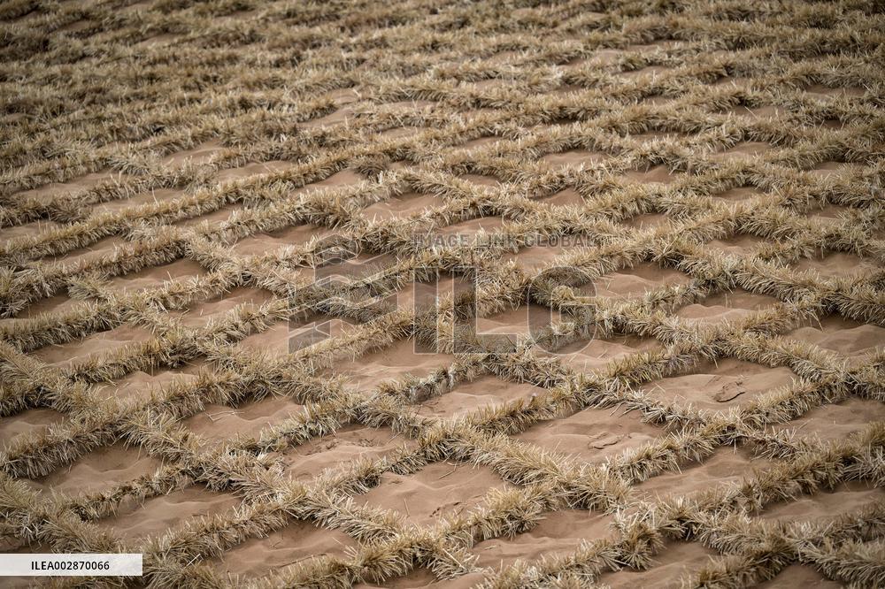 (VistaNingxia)CHINA-NINGXIA-ZHONGWEI-ENVIRONMENT-SAND CONTROL (CN)