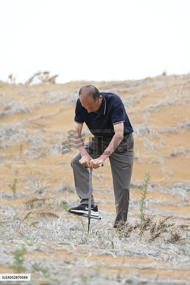 (VistaNingxia)CHINA-NINGXIA-ZHONGWEI-ENVIRONMENT-SAND CONTROL (CN)
