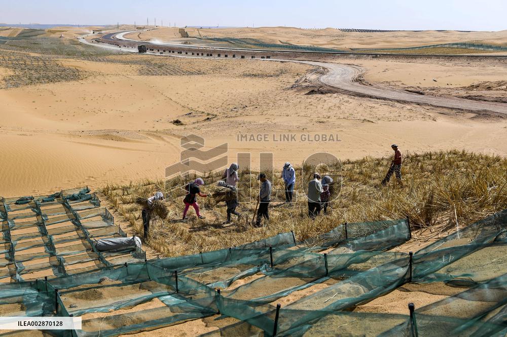(VistaNingxia)CHINA-NINGXIA-ZHONGWEI-ENVIRONMENT-SAND CONTROL (CN)