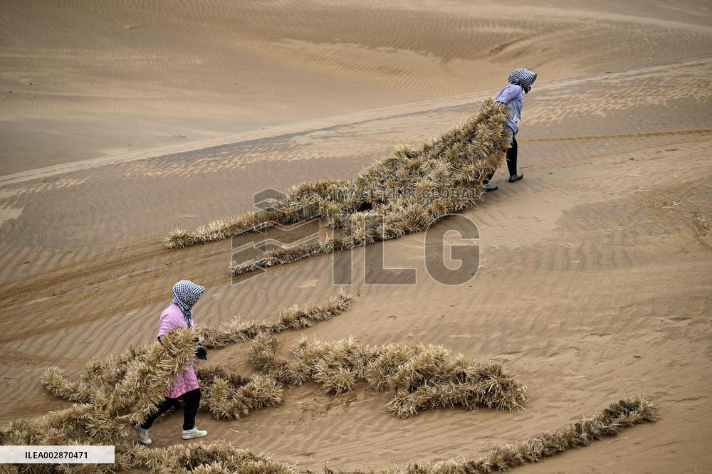 Chinese Experience in Desert Controi