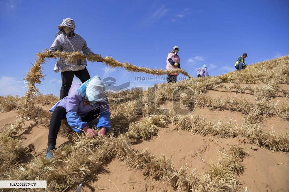 Chinese Experience in Desert Controi
