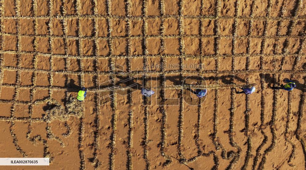 Chinese Experience in Desert Controi