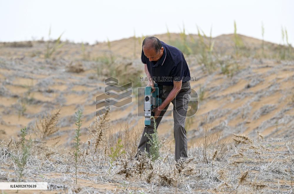 Chinese Experience in Desert Controi