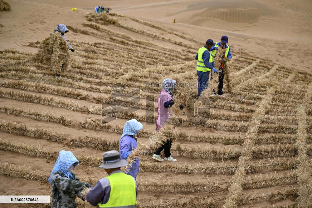 Chinese Experience in Desert Controi