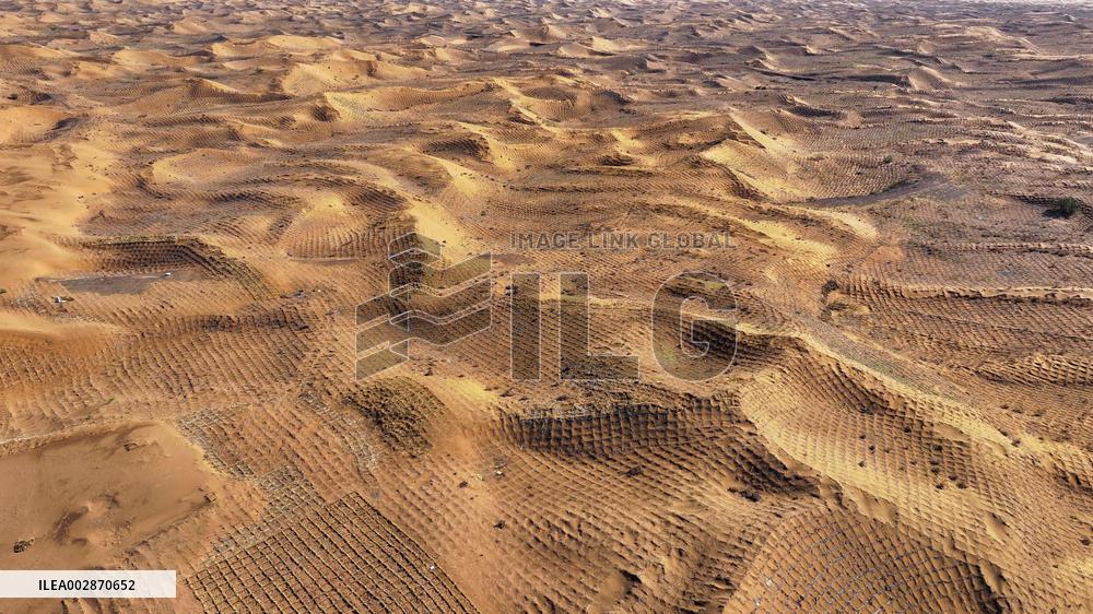 Chinese Experience in Desert Controi