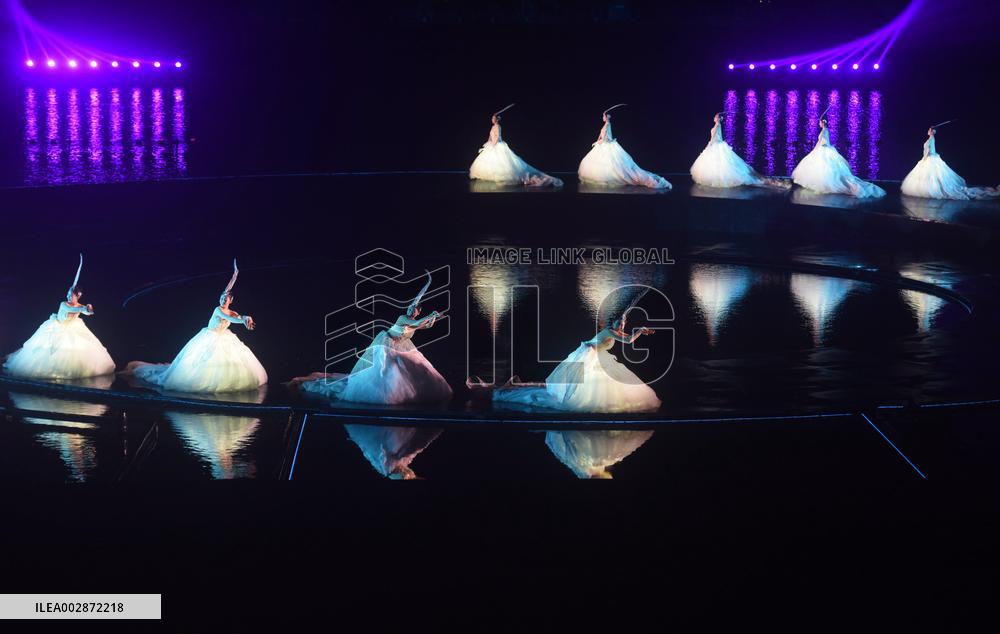Digital Intelligence Lakeview Performance Show in Hangzhou