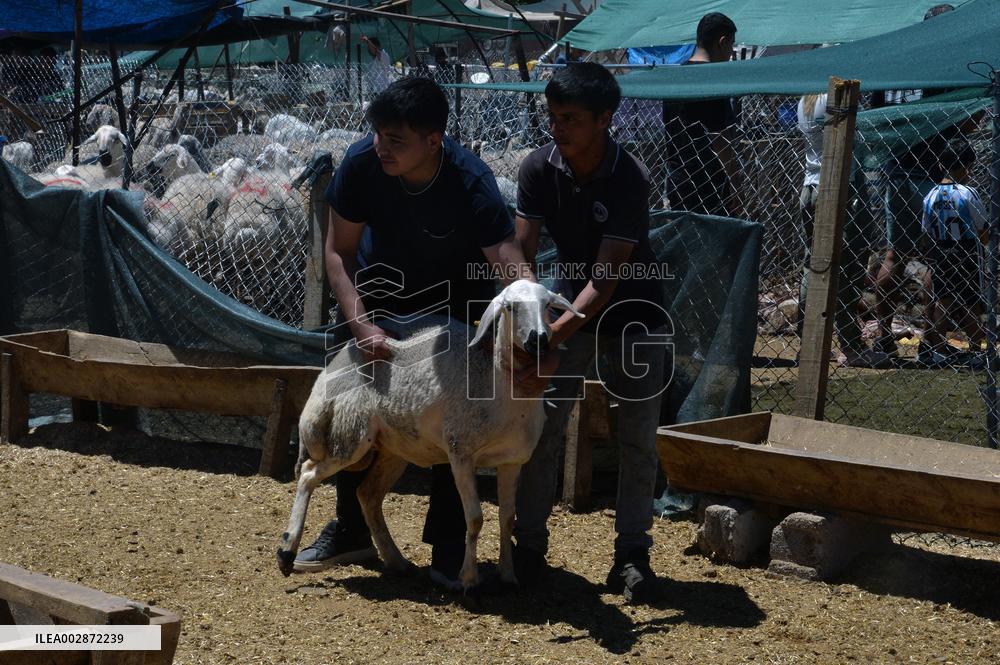 T?RKIYE-ANKARA-LIVESTOCK-MARKET