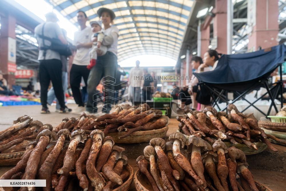 CHINA-YUNNAN-KUNMING-WILD MUSHROOM-MARKET (CN)