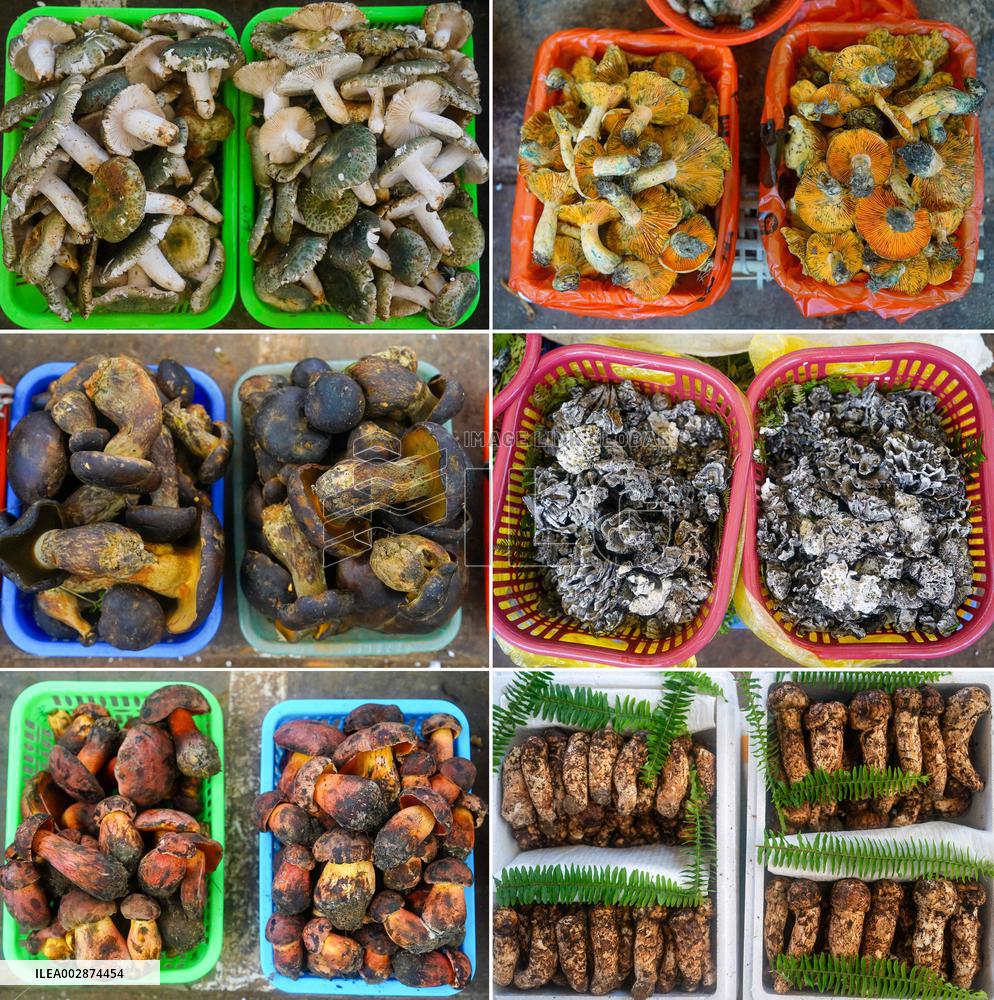 CHINA-YUNNAN-KUNMING-WILD MUSHROOM-MARKET (CN)