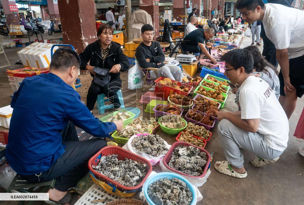 CHINA-YUNNAN-KUNMING-WILD MUSHROOM-MARKET (CN)