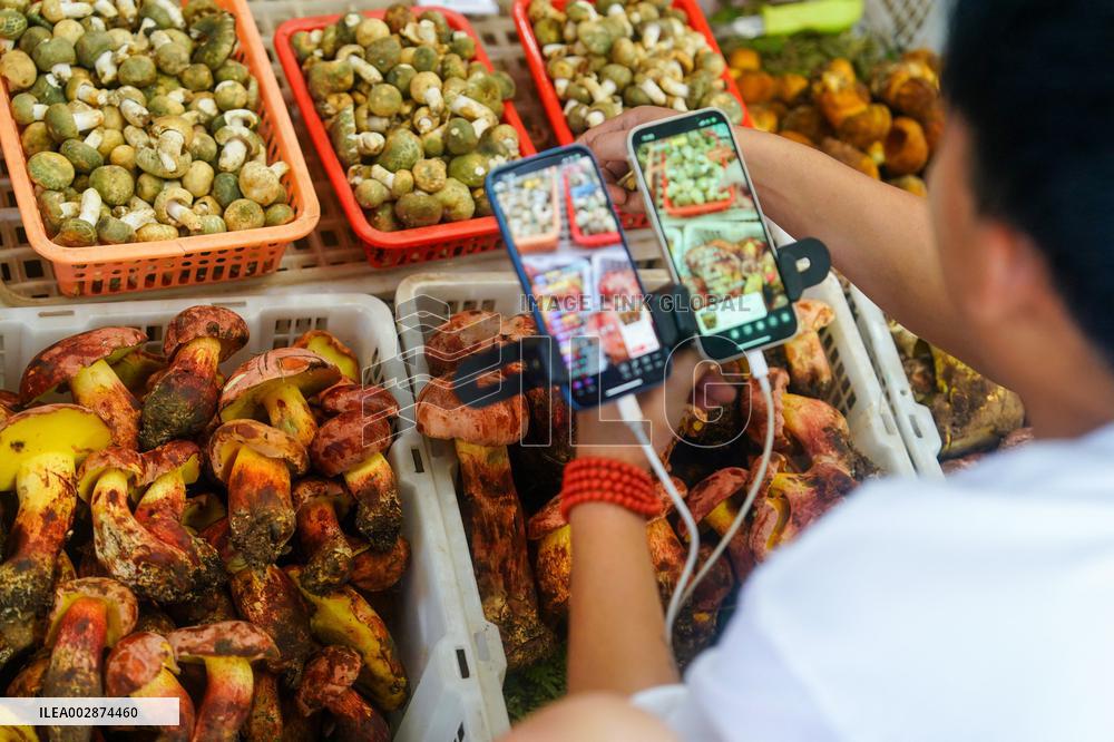 CHINA-YUNNAN-KUNMING-WILD MUSHROOM-MARKET (CN)