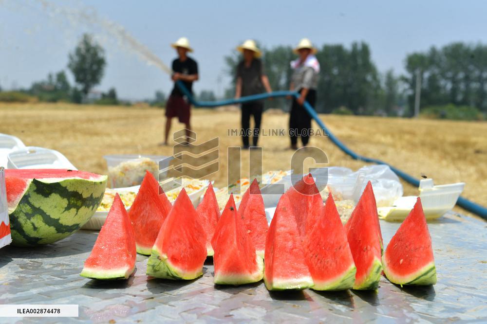 #CHINA-HEAT-YELLOW ALERT (CN)