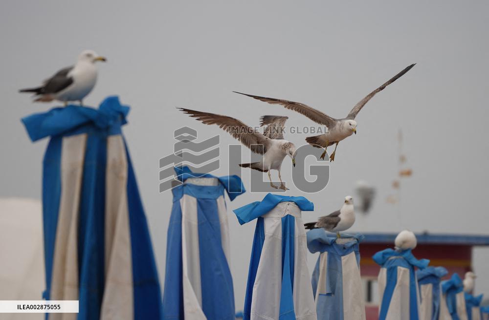 CHINA-LIAONING-CULTURAL TOURISM (CN)