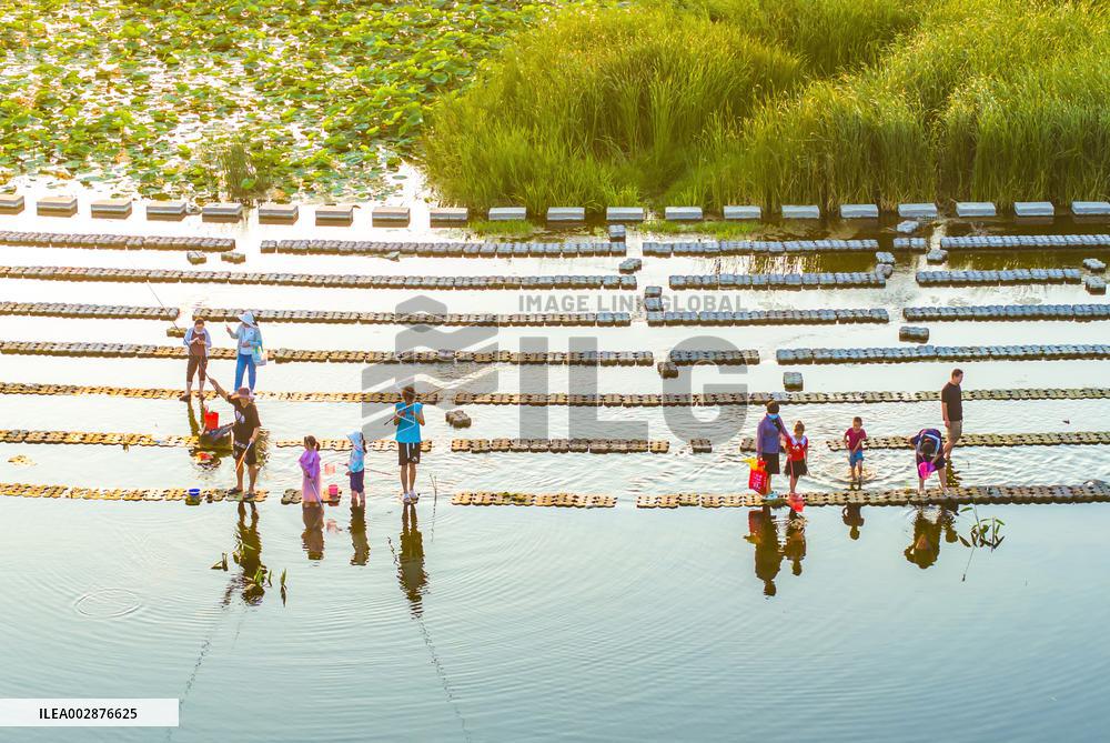 Tourists Enjoy Cool Water in Suqian