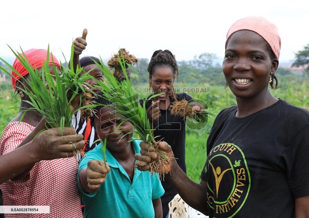 Xinhua Headlines: African agriculture thrives with Chinese technology, market access