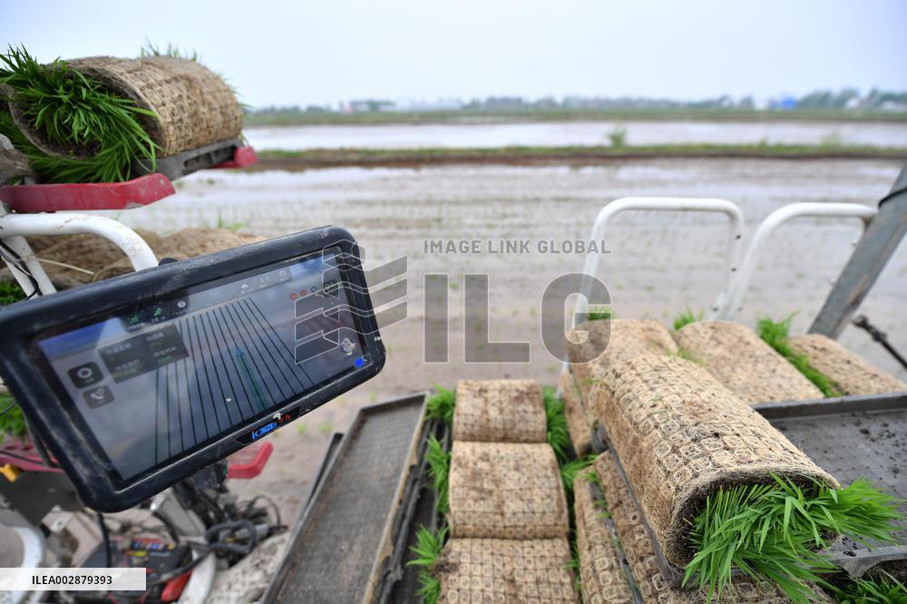 CHINA-RICE PLANTING-SMART AGRICULTURE (CN)
