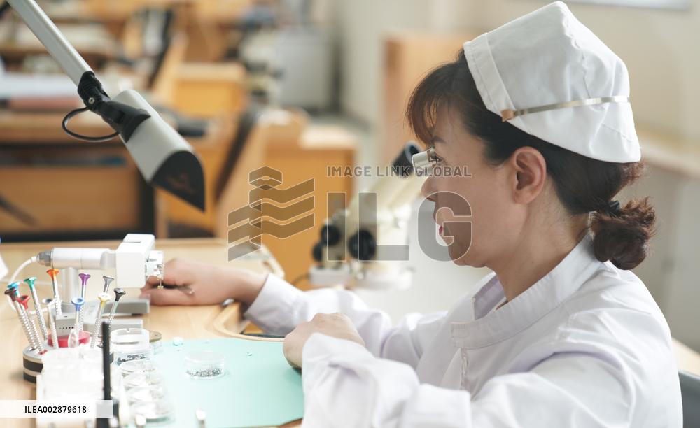 CHINA-LIAONING-WATCH INDUSTRY-INNOVATION (CN)