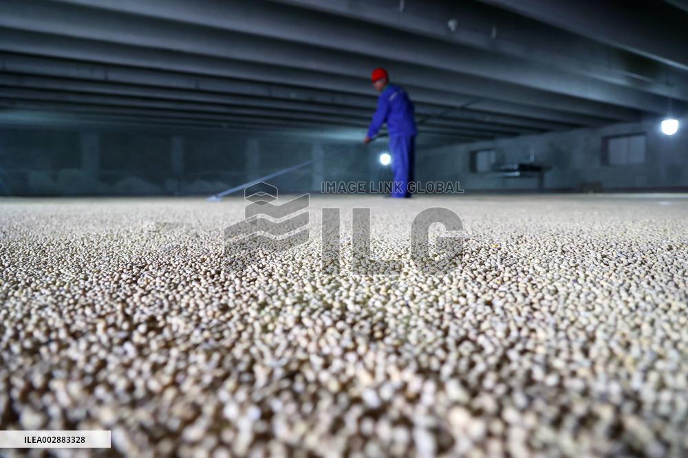 Grain Storage in Binzhou