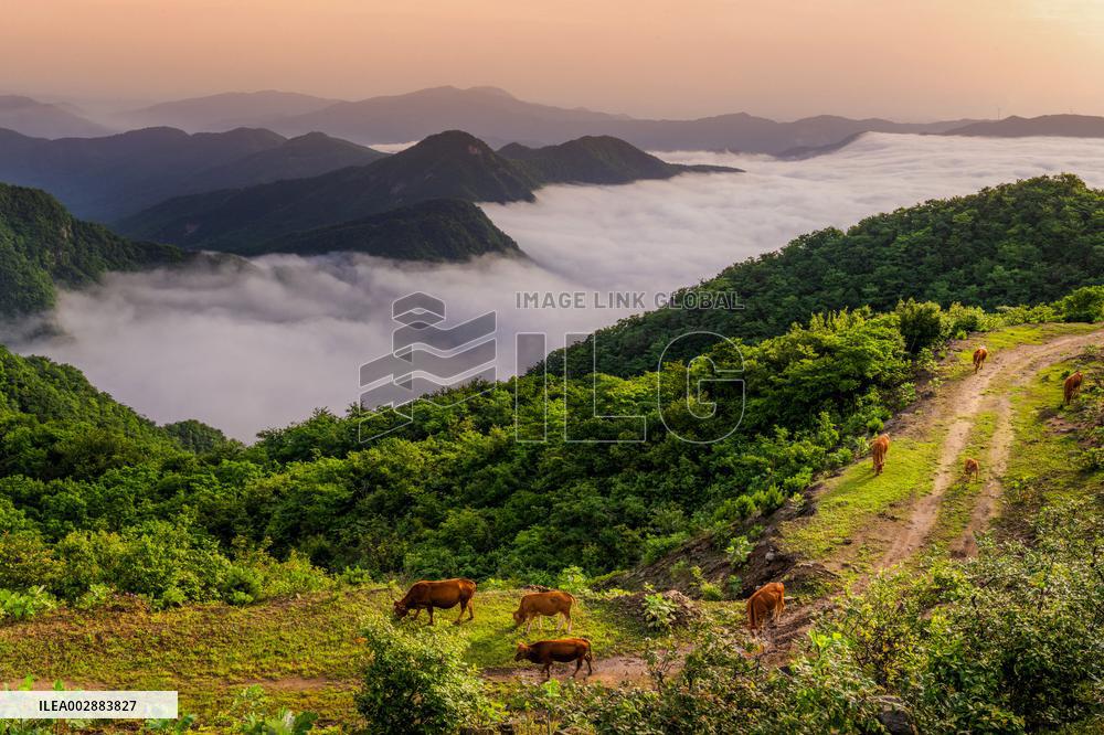 CHINA-CENTRAL REGION-MOUNTAINS-AERIAL VIEW (CN)