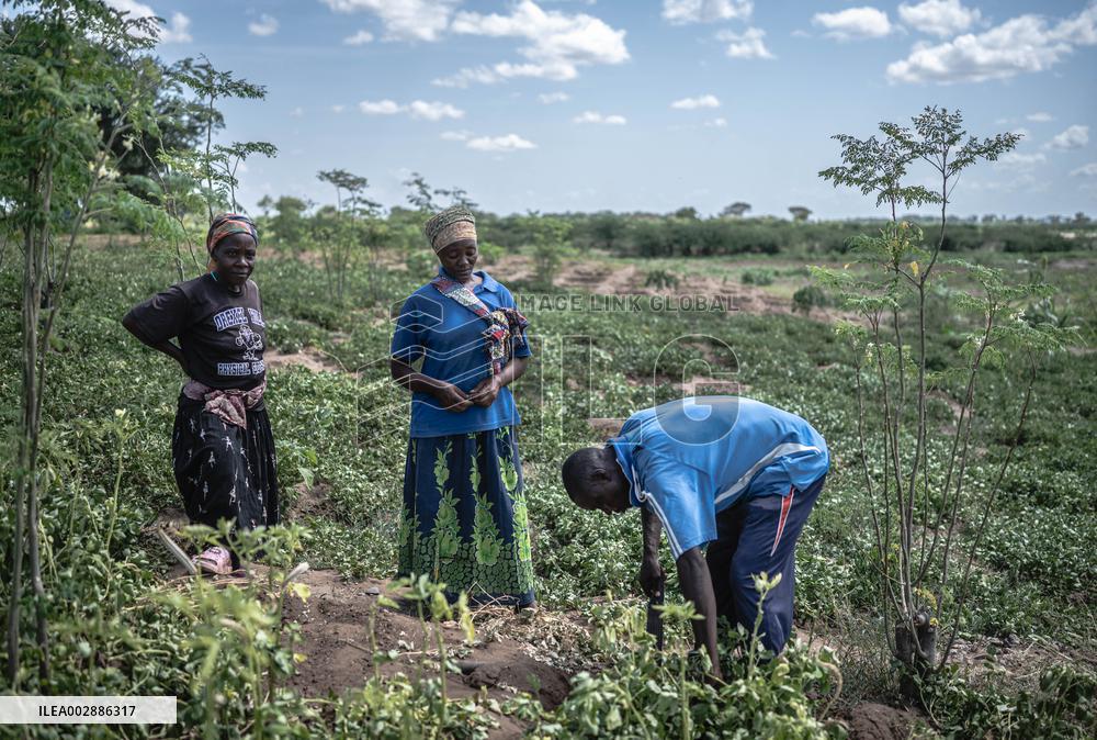 KENYA-TURKANA-KAKUMA REFUGEE CAMP-FARMING