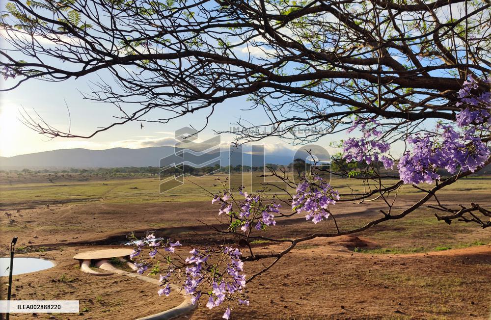 (WorldCandid)KENYA-TAITA-TAVETA-TAITA HILLS WILDLIFE SANCTUARY