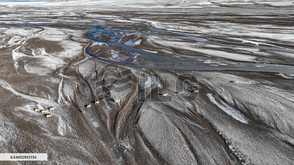 XINHUA PHOTOS OF THE DAY