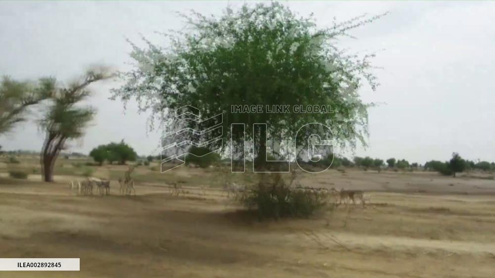 ICRC sows seeds of hope for displaced people in Cameroon's Far North region