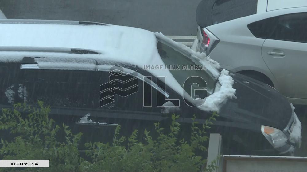 Mongolia sees rare summer snow