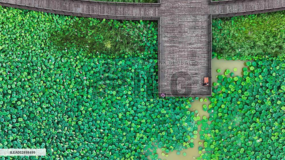 CHINA-SHAANXI-FUPING COUNTY-ECOLOGICAL ENVIRONMENT-PROTECTION (CN)