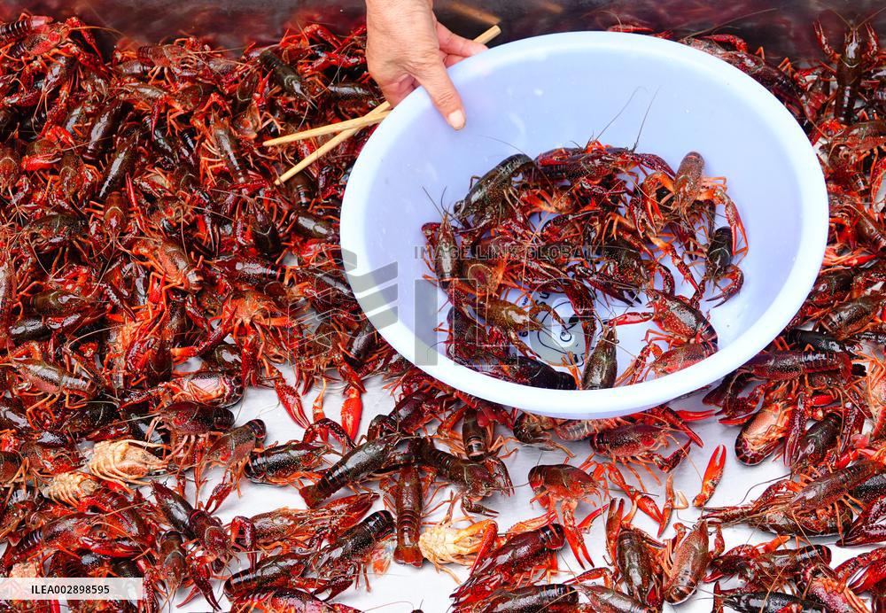 Crayfish Supply