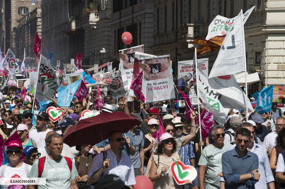 Pro-Life And Family Parade - Rome
