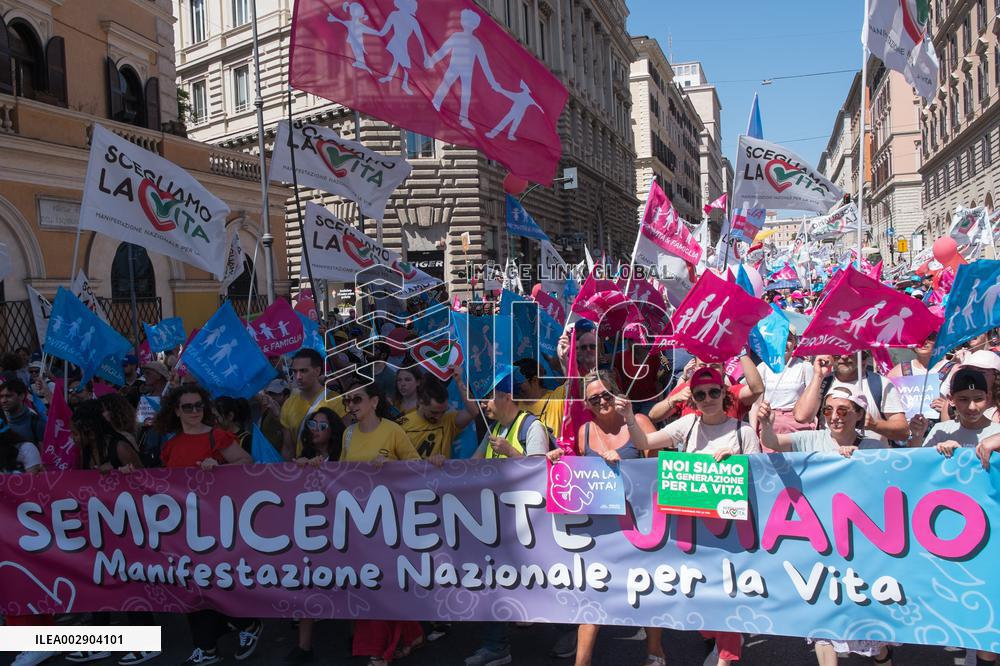 Pro-Life And Family Parade - Rome