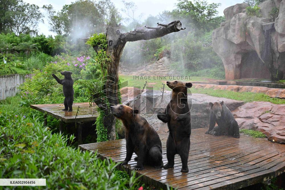 CHINA-HAIKOU-ANIMAL-SUMMER (CN)