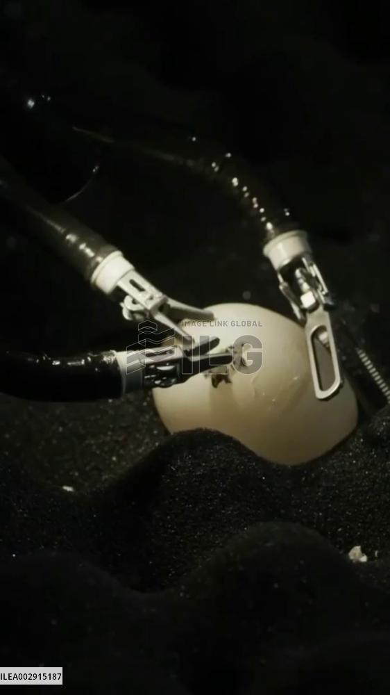 Chinese-developed surgical robot peels quail eggshell with precision