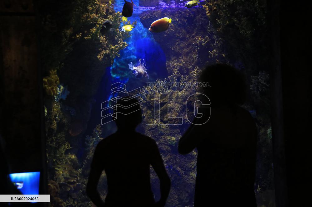 MALTA-QAWRA-NATIONAL AQUARIUM