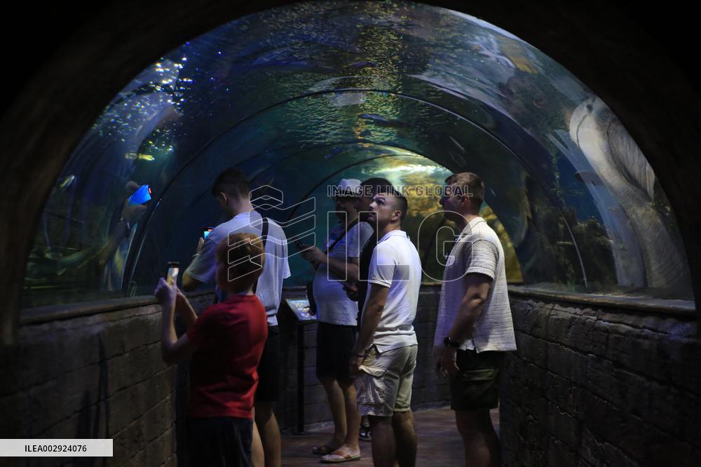 MALTA-QAWRA-NATIONAL AQUARIUM
