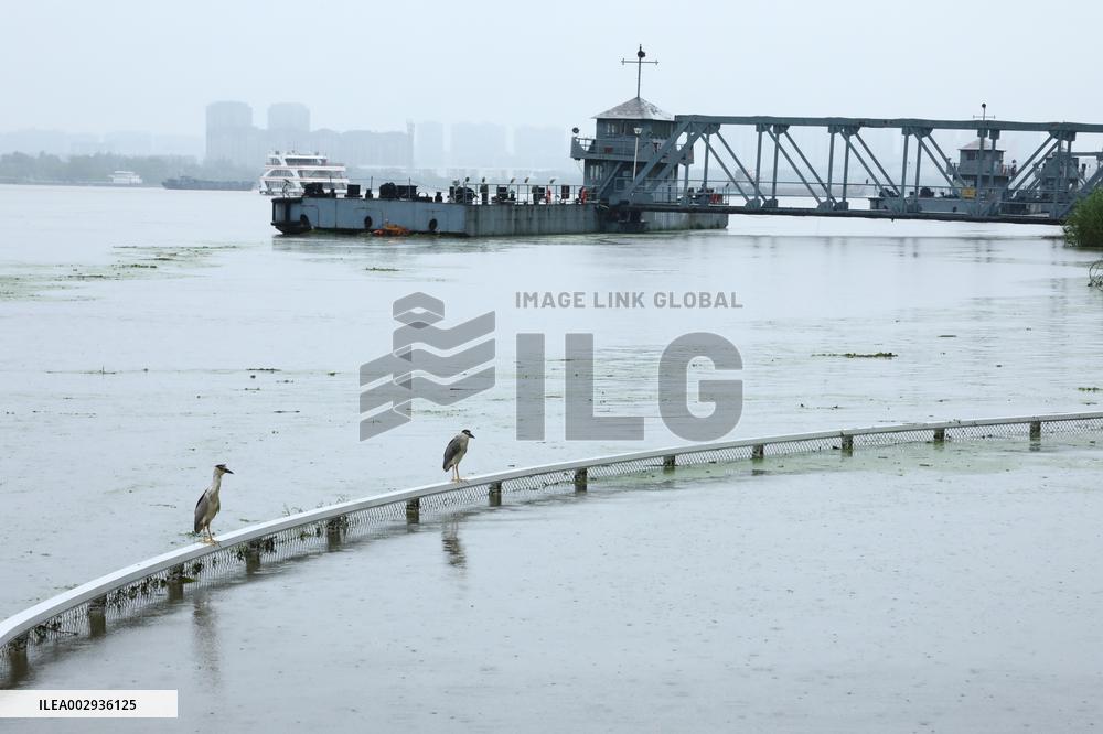 Yangtze River Exceeds Warning Water Level in Nanjing