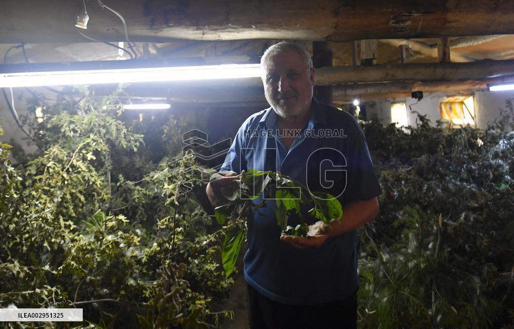 T?RKIYE-ANKARA-SILK TRADITION