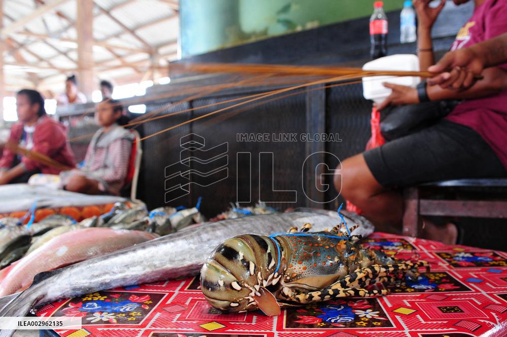 PAPUA NEW GUINEA-PORT MORESBY-FISH MARKET