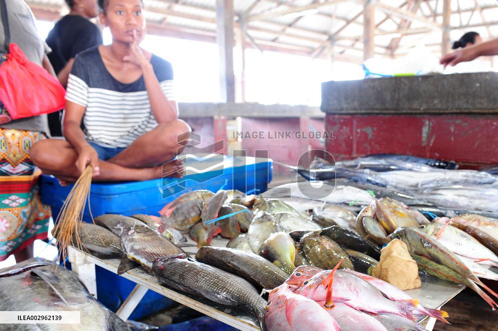 PAPUA NEW GUINEA-PORT MORESBY-FISH MARKET