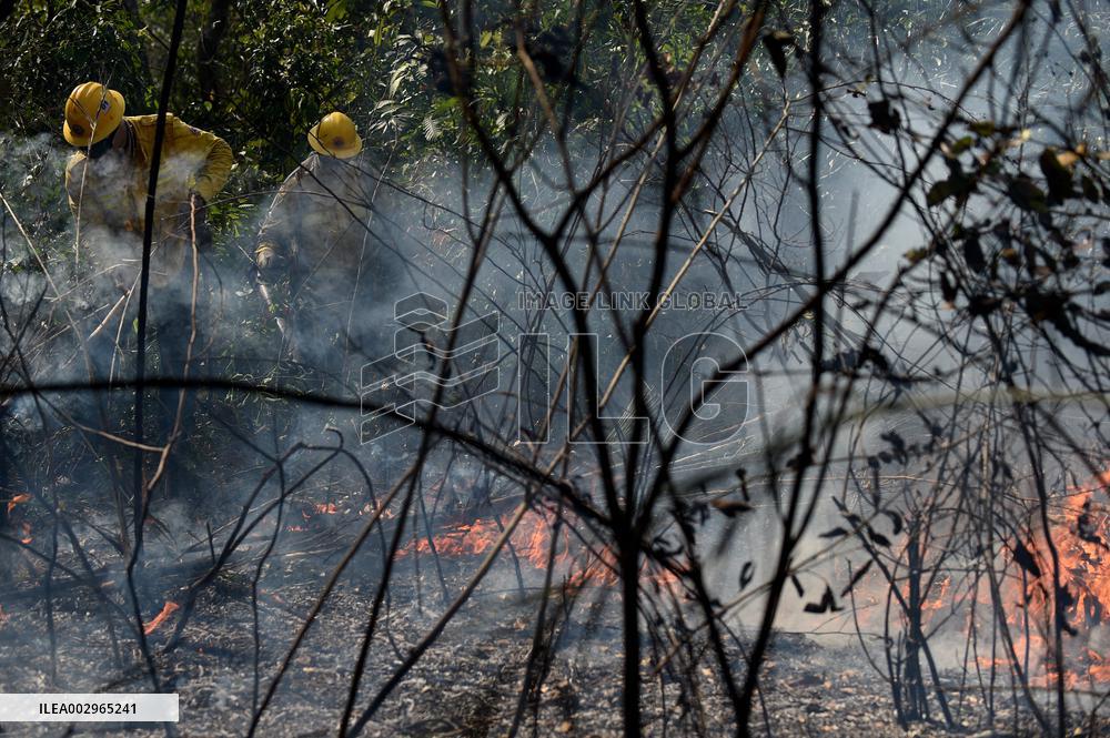 (SpotNews) BRAZIL-CORUMBA-PANTANAL WETLAND-FIRE