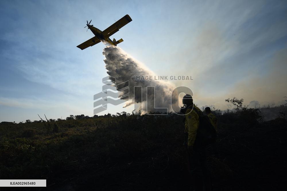 Forest Fire In Corumba - Brazil