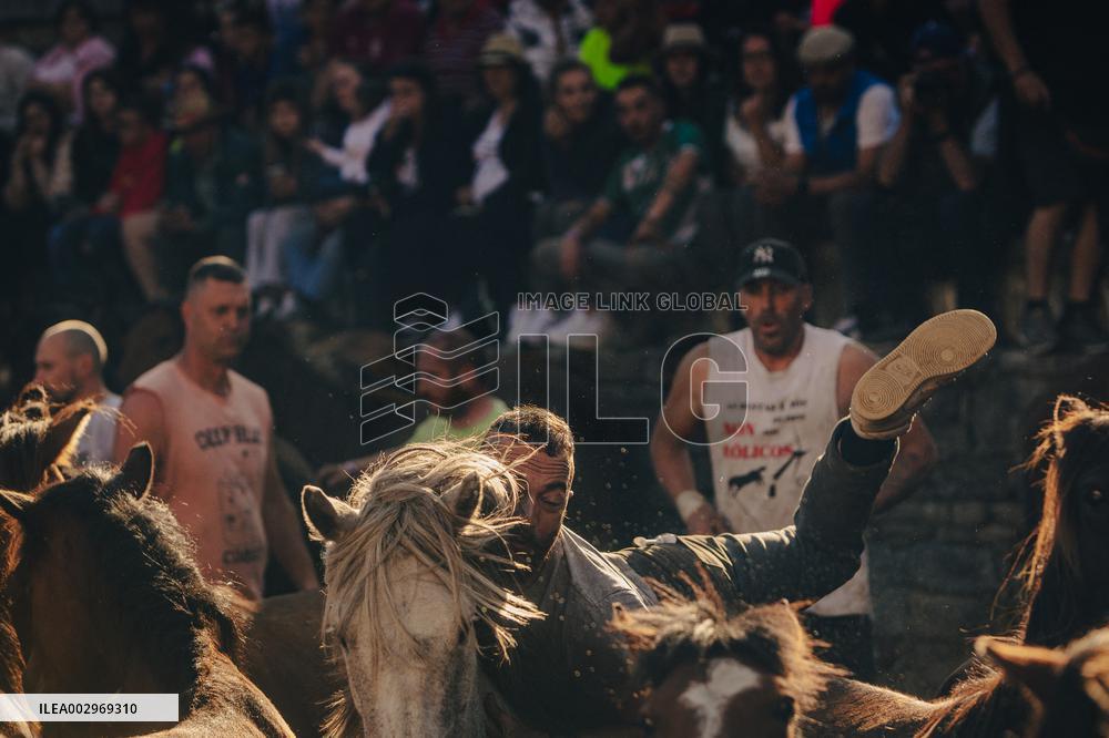 The Rapa das Bestas of Sabucedo - Spain