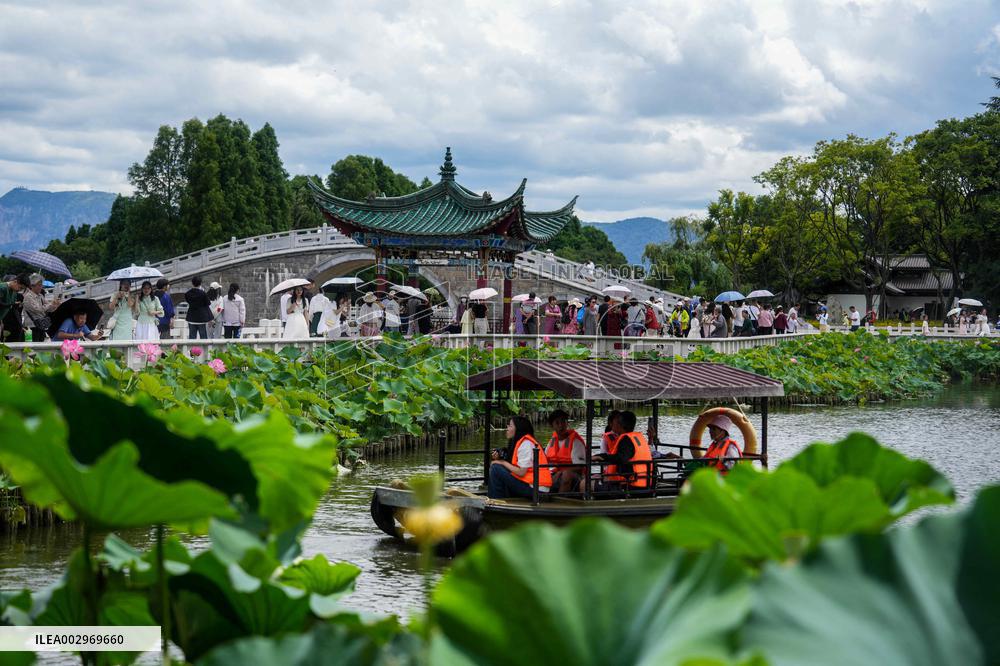 CHINA-YUNNAN-KUNMING-LOTUS FLOWERS (CN)