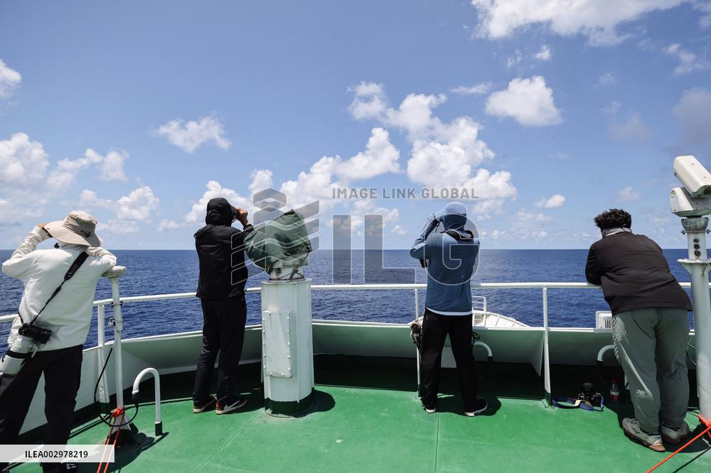 (HainanOutlook)CHINA-HAINAN-SHORT-FINNED PILOT WHALE-BIODIVERSITY (CN)