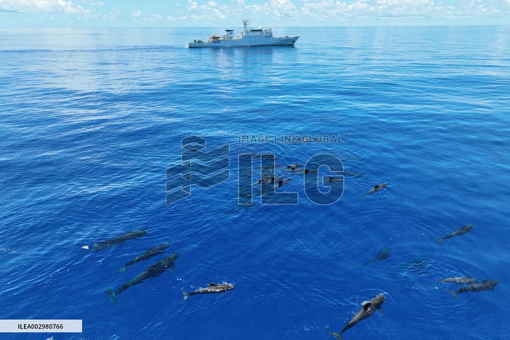 XINHUA PHOTOS OF THE DAY