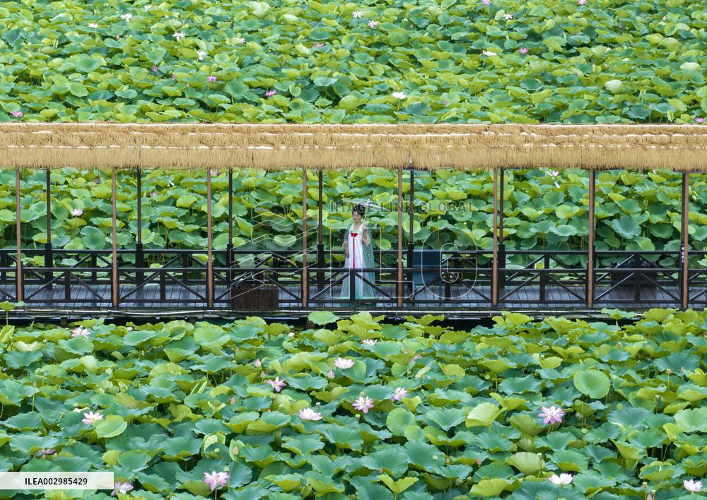 XINHUA PHOTOS OF THE DAY