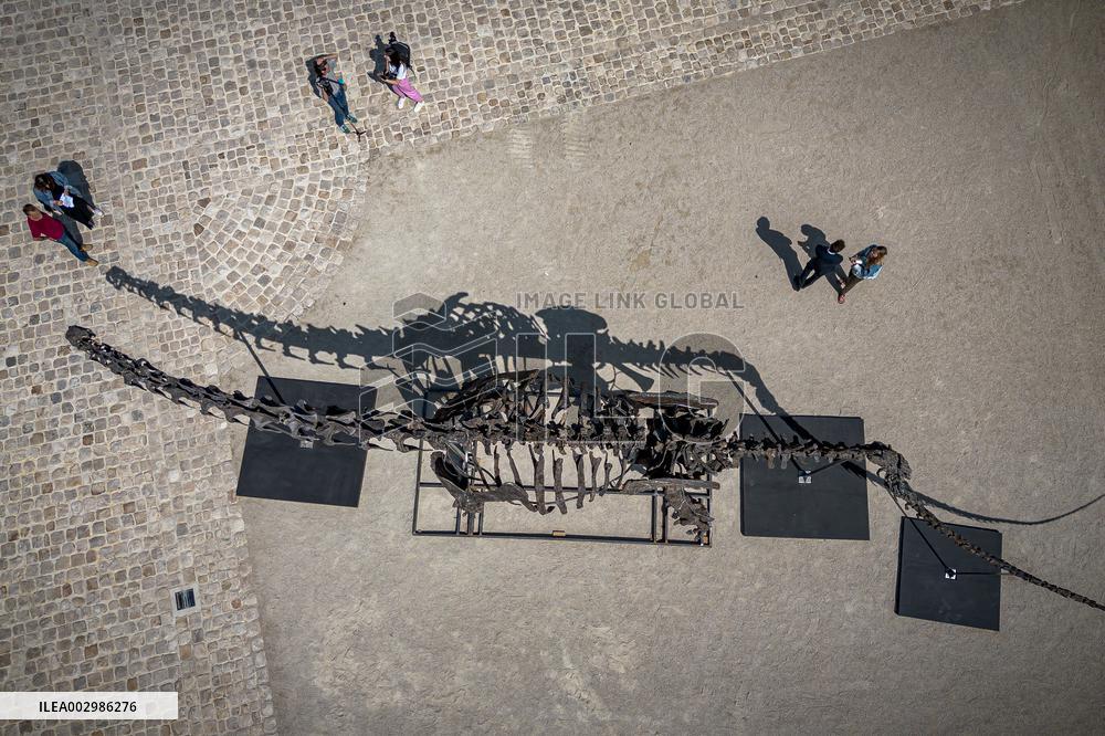 Dinosaur Skeleton On Display - Dampierre-en-Yvelines