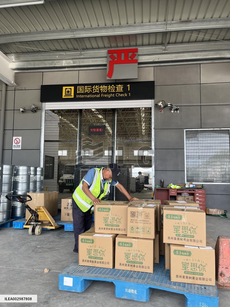 CHINA-GUIZHOU-THAILAND-HONEY PLUMS-EXPORT (CN)